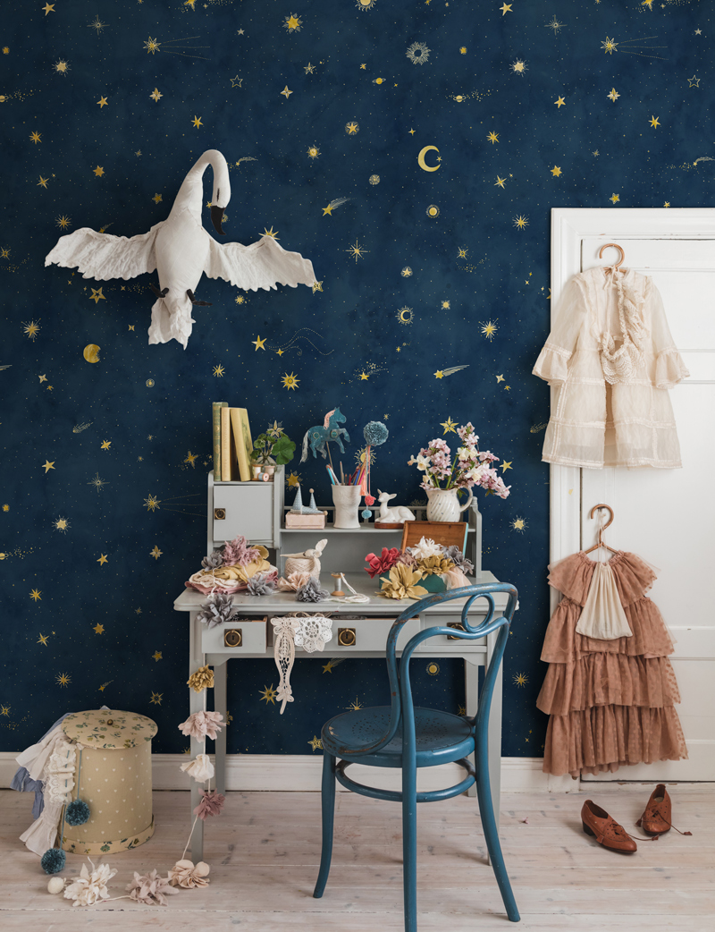 STARRY SKY - MURAL